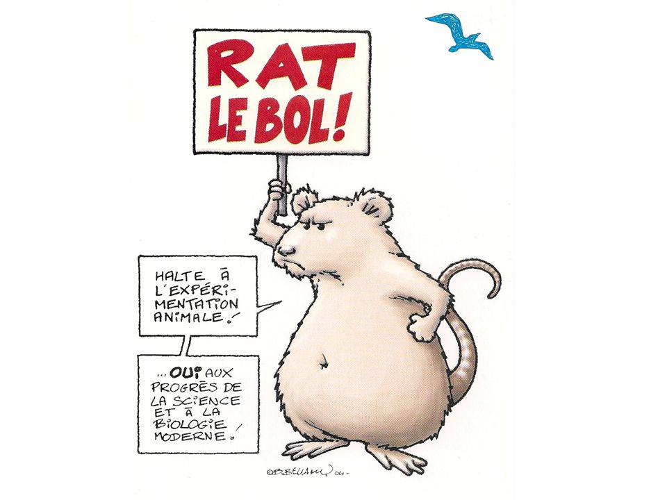 Rat le bol pro anima